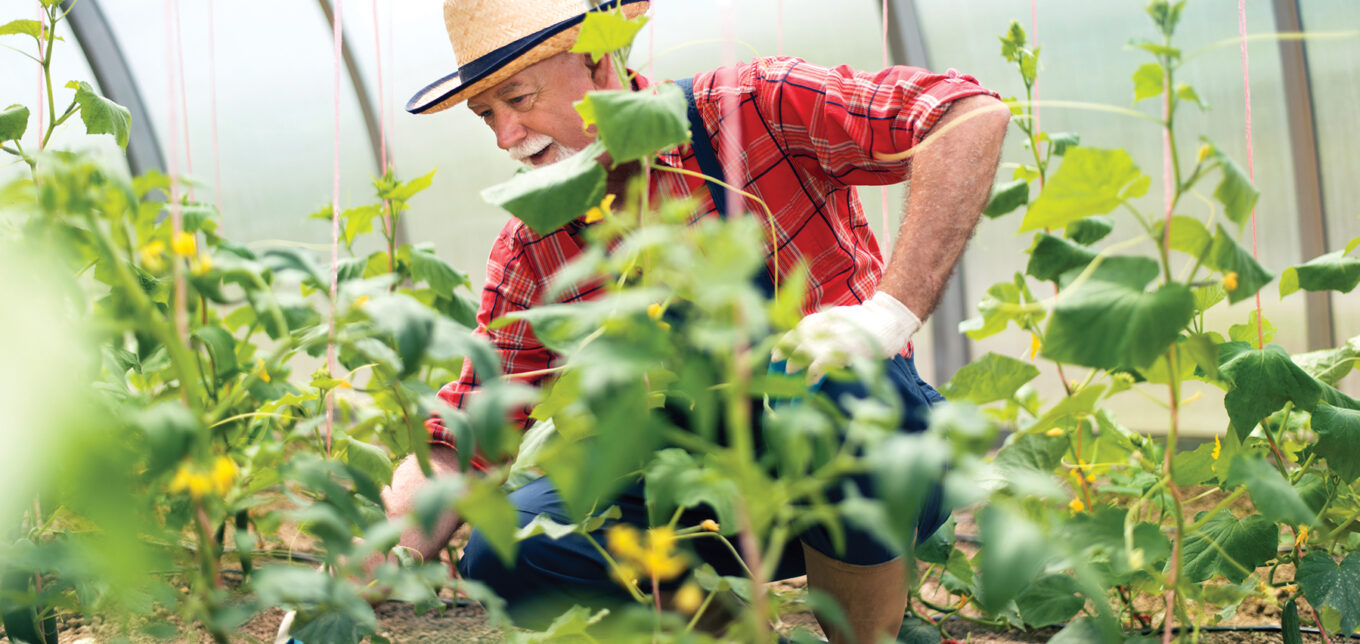 Is Gardening Good Exercise? – Mother Earth News - Vimarsana News